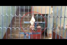 সময়ে খোলে না  গ্রাম পঞ্চায়েত, তালাই ঝুলিয়ে দিল বিক্ষোভকারীরা