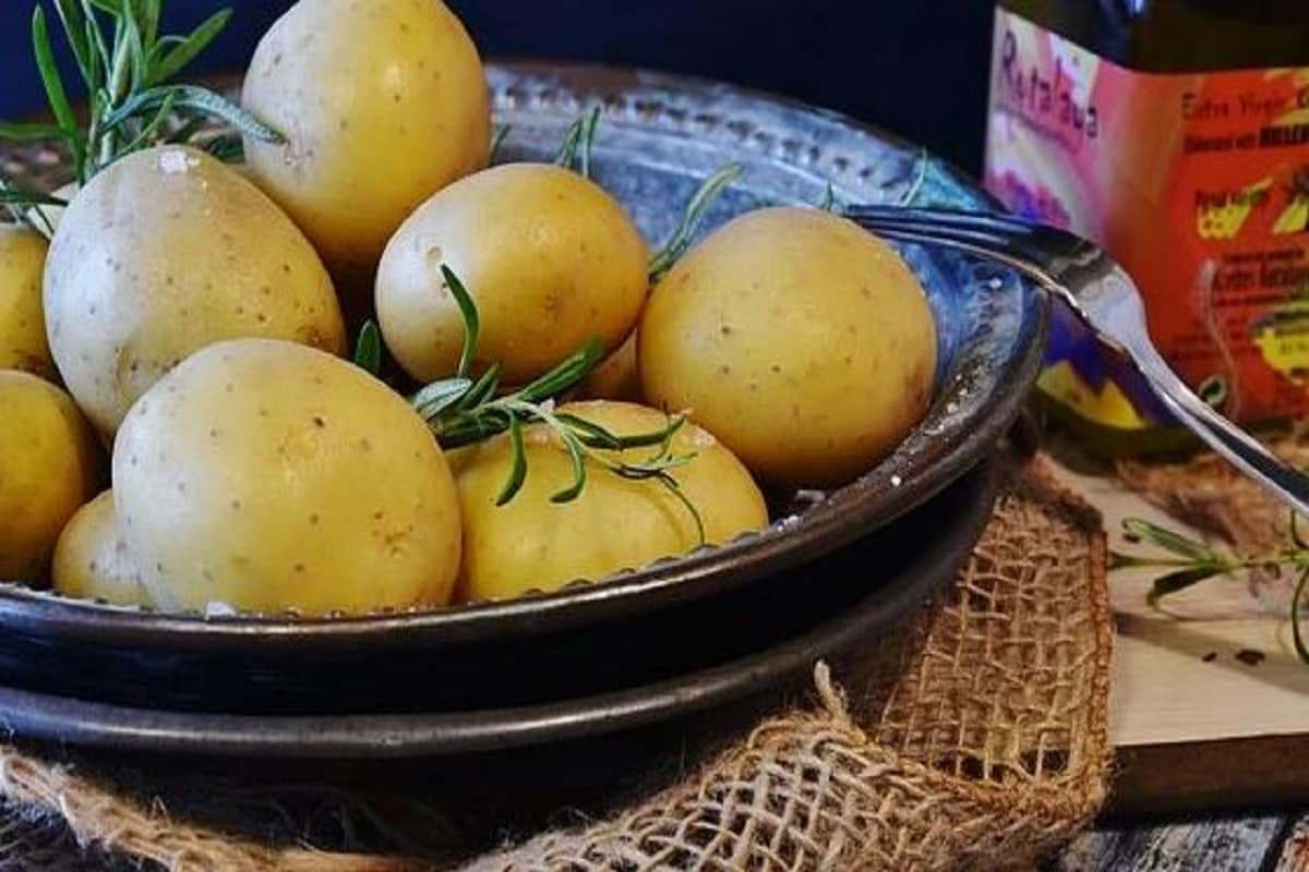 কৃষকরা সরকারি বীজ ছাড়াও বিভিন্ন কোম্পানির থেকেও চাষের জন্য বীজ কেনেন ফলে তাঁদের ক্ষেত্রে আরও বেশি বিনিয়োগ করতে বাধ্য হবে কৃষকরা৷ সেক্ষেত্র তাদের ৬০ টাকা প্রতি কিলোর বীজও কিনতে হচ্ছে৷ Photo- Representative কৃষকরা সরকারি বীজ ছাড়াও বিভিন্ন কোম্পানির থেকেও চাষের জন্য বীজ কেনেন ফলে তাঁদের ক্ষেত্রে আরও বেশি বিনিয়োগ করতে বাধ্য হবে কৃষকরা৷ সেক্ষেত্র তাদের ৬০ টাকা প্রতি কিলোর বীজও কিনতে হচ্ছে৷ Photo- Representative