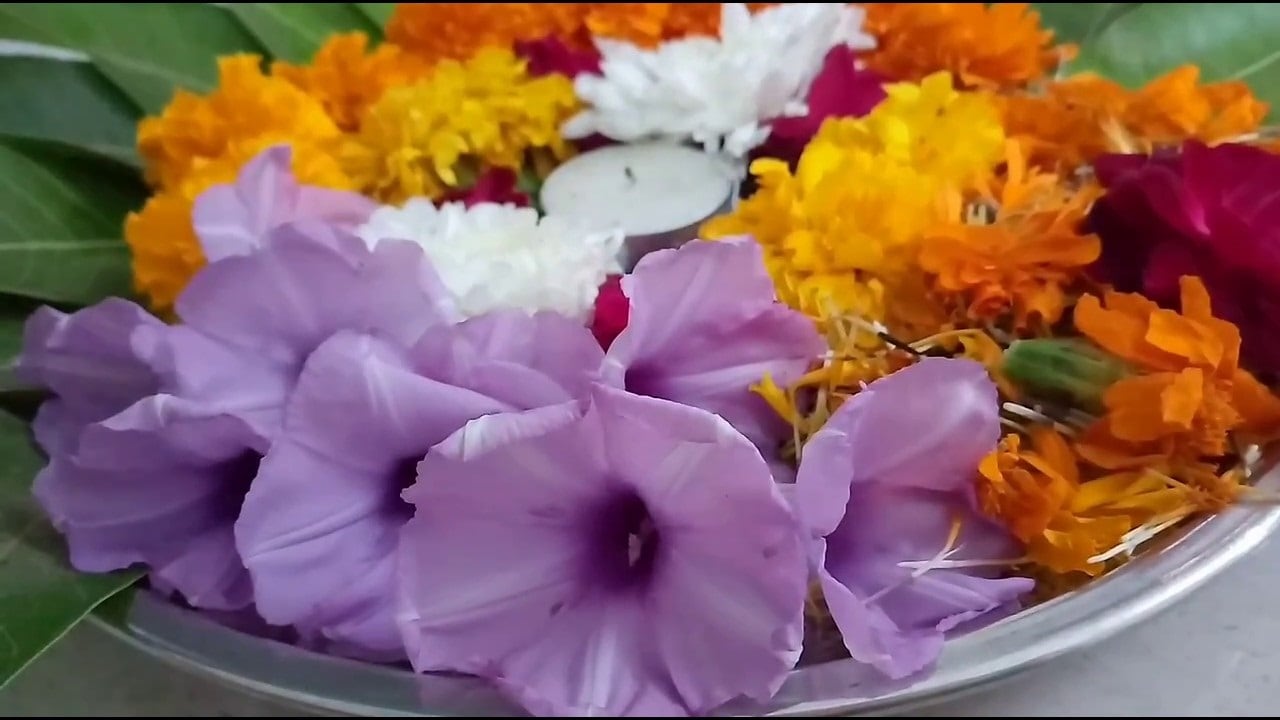 বাড়িতে শুকিয়ে যাওয়া ফুল রাখবেন না ৷ ভুলেও বাড়িতে ভাঙা প্রদীপ রাখবেন না ৷ এতে আর্থিক সমস্যা বেড়ে যায় ৷ তুলসি গাছ মরে গেলে জলে ভাসিয়ে দিন ৷ নাহলে পরিবারে অশান্তি বাড়বে ৷ বাড়িতে শুকিয়ে যাওয়া ফুল রাখবেন না ৷ ভুলেও বাড়িতে ভাঙা প্রদীপ রাখবেন না ৷ এতে আর্থিক সমস্যা বেড়ে যায় ৷ তুলসি গাছ মরে গেলে জলে ভাসিয়ে দিন ৷ নাহলে পরিবারে অশান্তি বাড়বে ৷