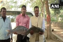 ‘তেজস্বীর জয় হবেই’, সৌভাগ্য কামনায় মাছ হাতে বাড়ির সামনে হাজির RJD সমর্থকেরা ‘তেজস্বীর জয় হবেই’, সৌভাগ্য কামনায় মাছ হাতে বাড়ির সামনে হাজির RJD সমর্থকেরা