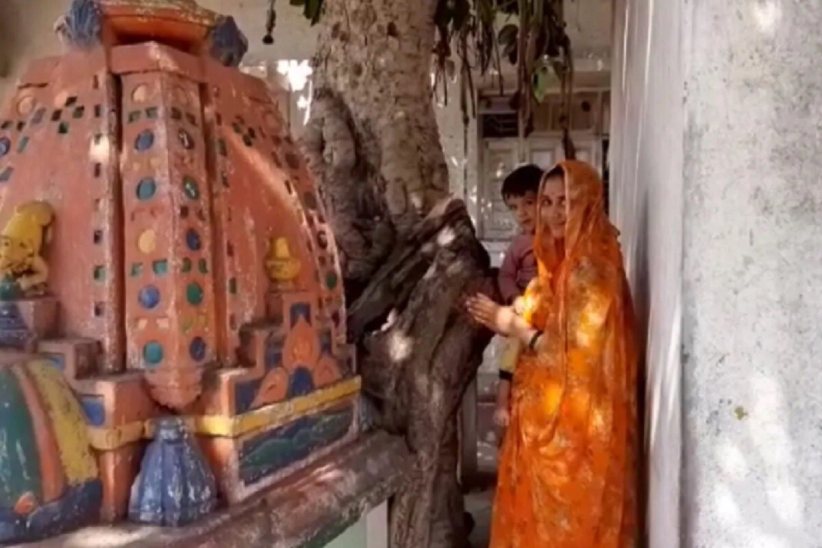 মন্দিরের পিছনে একটি গাছ রয়েছে যা ৯০ বছরের পুরনো ৷ গাছের মধ্যে স্বয়ং স্বামীর মূর্তি দেখে পূজার্চনায় মুগ্ধ হয়েছেন সবাই ৷ মন্দিরের পিছনে একটি গাছ রয়েছে যা ৯০ বছরের পুরনো ৷ গাছের মধ্যে স্বয়ং স্বামীর মূর্তি দেখে পূজার্চনায় মুগ্ধ হয়েছেন সবাই ৷