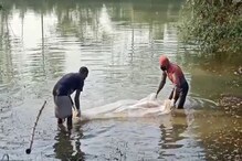 হাসপাতাল থেকে নিখোঁজ যুবকের পচাগলা দেহ মিলল জলাশয়ে! খুন নাকি আত্মহত্যা? ধন্ধে পুলিশ হাসপাতাল থেকে নিখোঁজ যুবকের পচাগলা দেহ মিলল জলাশয়ে! খুন নাকি আত্মহত্যা? ধন্ধে পুলিশ