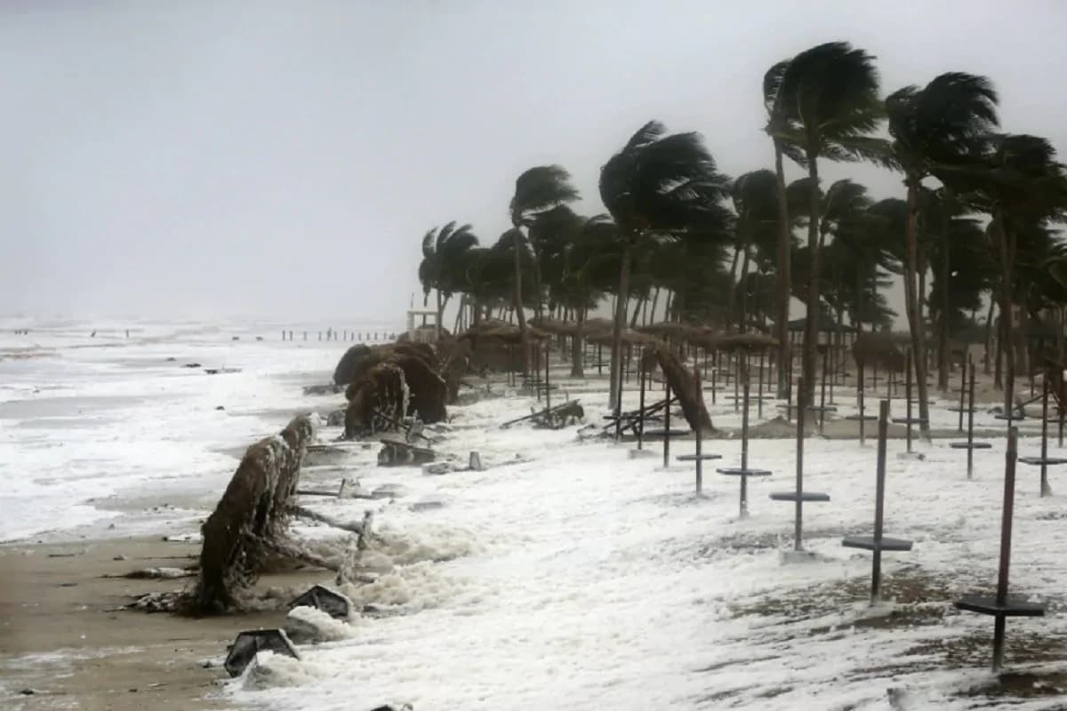 তামিলনাড়ুর রাজ্যের মুখ্যমন্ত্রী ই কে পালানিস্বামী জানান, বৃষ্টির জেরে ক্ষতিগ্রস্থ জেলাগুলিতে ত্রাণ ও পুনরুদ্ধারের কাজ চলছে। এবং তদারকির জন্য বিভিন্ন জায়গায় মন্ত্রীদের পাঠানো হয়ছে।পালানিস্বামীর সরকার জানিয়েছে মৃতের পরিবারকে ক্ষতিপূরণ হিসেবে ১০ লক্ষ টাকা ত্রাণ এবং গবাদি পশু দেওয়া হবে। তামিলনাড়ুর রাজ্যের মুখ্যমন্ত্রী ই কে পালানিস্বামী জানান, বৃষ্টির জেরে ক্ষতিগ্রস্থ জেলাগুলিতে ত্রাণ ও পুনরুদ্ধারের কাজ চলছে। এবং তদারকির জন্য বিভিন্ন জায়গায় মন্ত্রীদের পাঠানো হয়ছে।পালানিস্বামীর সরকার জানিয়েছে মৃতের পরিবারকে ক্ষতিপূরণ হিসেবে ১০ লক্ষ টাকা ত্রাণ এবং গবাদি পশু দেওয়া হবে।