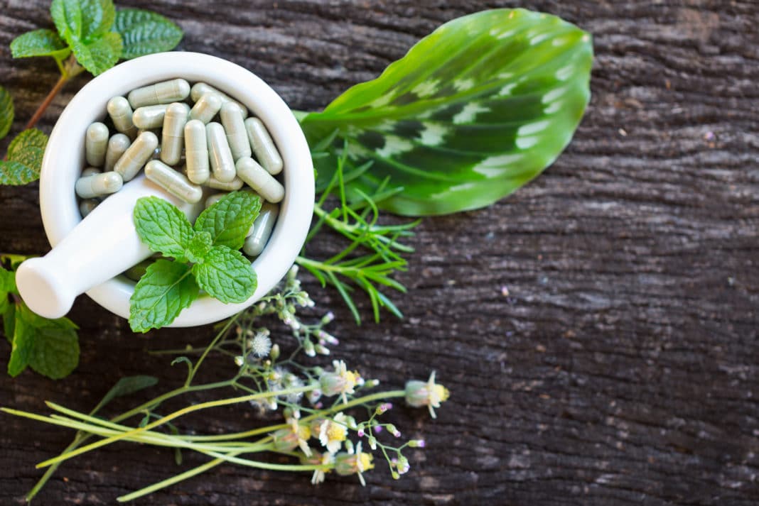 হার্বাল সাপ্লিমেন্টস (Herbal Supplements)-- প্রেগন্যান্সির সময়ে এবং তার পরে নানা আয়ুর্বেদিক সাপ্লিমেন্ট শরীর ভাল রাখে। এ ক্ষেত্রে খেতে পারেন কেশর, অশ্বগন্ধা, শতাভরী, ভিদারী, বালা, জটামাংসীর মতো ভেষজ। হার্বাল সাপ্লিমেন্টস (Herbal Supplements)-- প্রেগন্যান্সির সময়ে এবং তার পরে নানা আয়ুর্বেদিক সাপ্লিমেন্ট শরীর ভাল রাখে। এ ক্ষেত্রে খেতে পারেন কেশর, অশ্বগন্ধা, শতাভরী, ভিদারী, বালা, জটামাংসীর মতো ভেষজ।