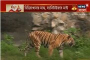 নিউ নর্মাল ক্রিসমাস, বড়দিনে চিড়িয়াখানায় চেনা ভিড় উধাও