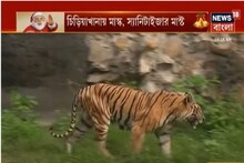 নিউ নর্মাল ক্রিসমাস, বড়দিনে চিড়িয়াখানায় চেনা ভিড় উধাও