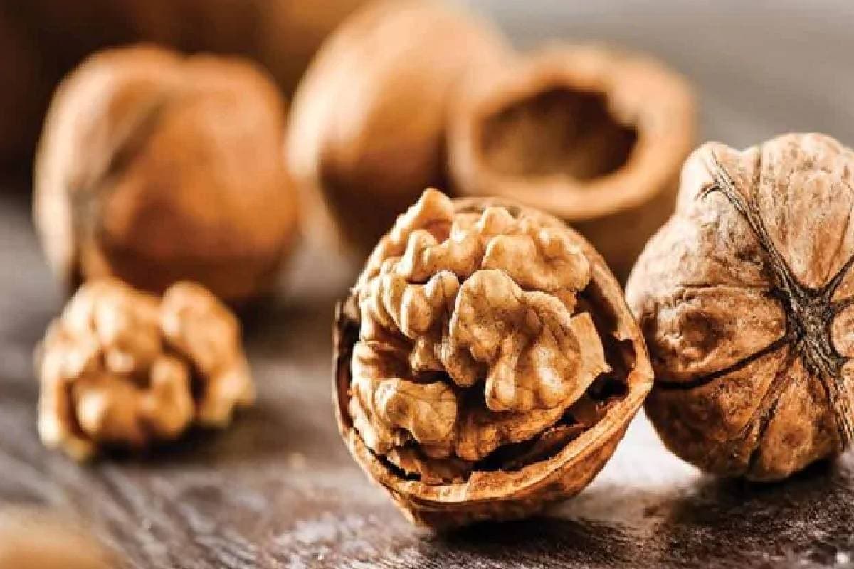 *আখরোট: অ্যান্টি-অক্সিড্যান্টস এবং ওমেগা ৩ ফ্যাটি অ্যাসিডে সমৃদ্ধ আখরোট আপনার স্বাস্থ্যের জন্য খুবই উপকারী। এর মধ্যে অ্যান্টি-ইনফ্ল্যামেটরি বৈশিষ্ট রয়েছে যা ত্বকের আর্দ্রতা সঠিক মাত্রায় বজায় রাখতে সহায়তা করে। প্রতিদিনের খাবার যেমন- স্যালাড, কেক, কুকিস বা বিকেলের স্ন্যাক্স-এর মধ্যে আখরোট রাখুন। সংগৃহীত ছবি। *আখরোট: অ্যান্টি-অক্সিড্যান্টস এবং ওমেগা ৩ ফ্যাটি অ্যাসিডে সমৃদ্ধ আখরোট আপনার স্বাস্থ্যের জন্য খুবই উপকারী। এর মধ্যে অ্যান্টি-ইনফ্ল্যামেটরি বৈশিষ্ট রয়েছে যা ত্বকের আর্দ্রতা সঠিক মাত্রায় বজায় রাখতে সহায়তা করে। প্রতিদিনের খাবার যেমন- স্যালাড, কেক, কুকিস বা বিকেলের স্ন্যাক্স-এর মধ্যে আখরোট রাখুন। সংগৃহীত ছবি।