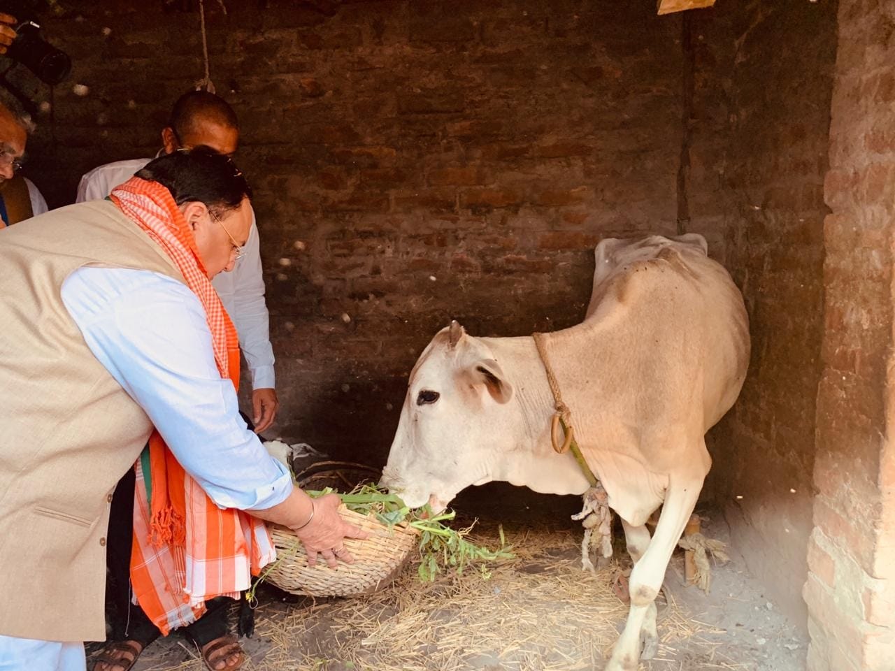 তাঁর মতে অন্তত ৩০০ বিজেপি কর্মী খুন হয়েছে রাজ্যে। এমনকি তিনি গত ৯ ডিসেম্বর আসার পরেও বেশ কিছু বিজেপি কর্মীর প্রাণ গিয়েছে বলে দাবি করলেন নড্ডা। তাঁর মতে অন্তত ৩০০ বিজেপি কর্মী খুন হয়েছে রাজ্যে। এমনকি তিনি গত ৯ ডিসেম্বর আসার পরেও বেশ কিছু বিজেপি কর্মীর প্রাণ গিয়েছে বলে দাবি করলেন নড্ডা।