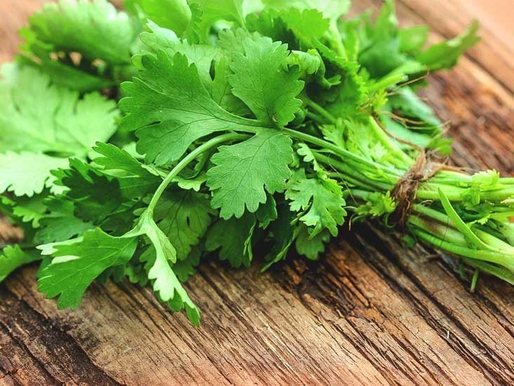 এগুলি ছাড়াও রোজমেরি (Rosemary), ধনেপাতা, তুলসী, ওরিগ্যানো (Oregano), থাইম (Thyme)-সহ নানা ধরনের ভেষজ উদ্ভিদ রয়েছে। বাড়িতে খুব সহজেই টবের মধ্যে চাষ করা যায় এগুলি। শীতে অবসর পেলে বাড়িতেই লাগানো যেতে পারে এই ভেষজ উদ্ভিদগুলি যা শরীরকে সব সময়ে সতেজ রাখবে। বাড়িয়ে তুলবে রোগপ্রতিরোধ ক্ষমতা। এগুলি ছাড়াও রোজমেরি (Rosemary), ধনেপাতা, তুলসী, ওরিগ্যানো (Oregano), থাইম (Thyme)-সহ নানা ধরনের ভেষজ উদ্ভিদ রয়েছে। বাড়িতে খুব সহজেই টবের মধ্যে চাষ করা যায় এগুলি। শীতে অবসর পেলে বাড়িতেই লাগানো যেতে পারে এই ভেষজ উদ্ভিদগুলি যা শরীরকে সব সময়ে সতেজ রাখবে। বাড়িয়ে তুলবে রোগপ্রতিরোধ ক্ষমতা।