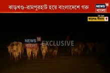 রামপুরহাট থেকে কী করে পাচার করা হচ্ছে গরু, দেখুন নিউজ 18 বাংলায় রামপুরহাট থেকে কী করে পাচার করা হচ্ছে গরু, দেখুন নিউজ 18 বাংলায়