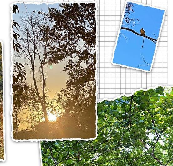 দীপিকার ইনস্টাগ্রামে ফলোয়ারের ছড়াছড়ি ৷ এমনকী, দিন দিন বেড়েই চলছে ফলোয়ারের সংখ্যা৷ তবুও হঠাৎ সব ভুলে দীপিকা জাস্ট উড়িয়ে দিলেন ! গোটা একদিন থাকলেন বিনা পোস্টে৷ Photo: Instagram দীপিকার ইনস্টাগ্রামে ফলোয়ারের ছড়াছড়ি ৷ এমনকী, দিন দিন বেড়েই চলছে ফলোয়ারের সংখ্যা৷ তবুও হঠাৎ সব ভুলে দীপিকা জাস্ট উড়িয়ে দিলেন ! গোটা একদিন থাকলেন বিনা পোস্টে৷ Photo: Instagram