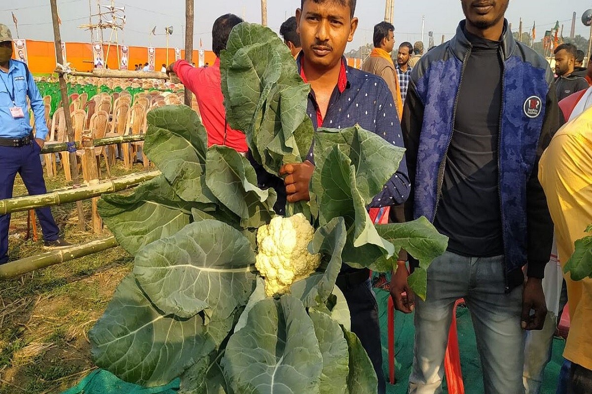 কাটোয়ার জগদানন্দপুর গ্রামে যাবেন বিজেপি সভাপতি৷ সেখানে কৃষক সুরক্ষা গ্রাম সভায় অংশ নেবেন তিনি৷ মূল উদ্দেশ্যই হবে কেন্দ্রের নয়া কৃষি আইনের সুফল কৃষকদের বোঝানো৷ রাজ্যের নীতির জন্য কেন্দ্রীয় সরকারের আর্থিক সাহায্য থেকেও যে কৃষকরা বঞ্চিত হচ্ছেন, তাও তুলে ধরবেন জে পি নাড্ডা৷ (Info and Photo-Arnab Hazra)কাটোয়ার জগদানন্দপুর গ্রামে যাবেন বিজেপি সভাপতি৷ সেখানে কৃষক সুরক্ষা গ্রাম সভায় অংশ নেবেন তিনি৷ মূল উদ্দেশ্যই হবে কেন্দ্রের নয়া কৃষি আইনের সুফল কৃষকদের বোঝানো৷ রাজ্যের নীতির জন্য কেন্দ্রীয় সরকারের আর্থিক সাহায্য থেকেও যে কৃষকরা বঞ্চিত হচ্ছেন, তাও তুলে ধরবেন জে পি নাড্ডা৷ (Info and Photo-Arnab Hazra) কাটোয়ার জগদানন্দপুর গ্রামে যাবেন বিজেপি সভাপতি৷ সেখানে কৃষক সুরক্ষা গ্রাম সভায় অংশ নেবেন তিনি৷ মূল উদ্দেশ্যই হবে কেন্দ্রের নয়া কৃষি আইনের সুফল কৃষকদের বোঝানো৷ রাজ্যের নীতির জন্য কেন্দ্রীয় সরকারের আর্থিক সাহায্য থেকেও যে কৃষকরা বঞ্চিত হচ্ছেন, তাও তুলে ধরবেন জে পি নাড্ডা৷ (Info and Photo-Arnab Hazra)কাটোয়ার জগদানন্দপুর গ্রামে যাবেন বিজেপি সভাপতি৷ সেখানে কৃষক সুরক্ষা গ্রাম সভায় অংশ নেবেন তিনি৷ মূল উদ্দেশ্যই হবে কেন্দ্রের নয়া কৃষি আইনের সুফল কৃষকদের বোঝানো৷ রাজ্যের নীতির জন্য কেন্দ্রীয় সরকারের আর্থিক সাহায্য থেকেও যে কৃষকরা বঞ্চিত হচ্ছেন, তাও তুলে ধরবেন জে পি নাড্ডা৷ (Info and Photo-Arnab Hazra)