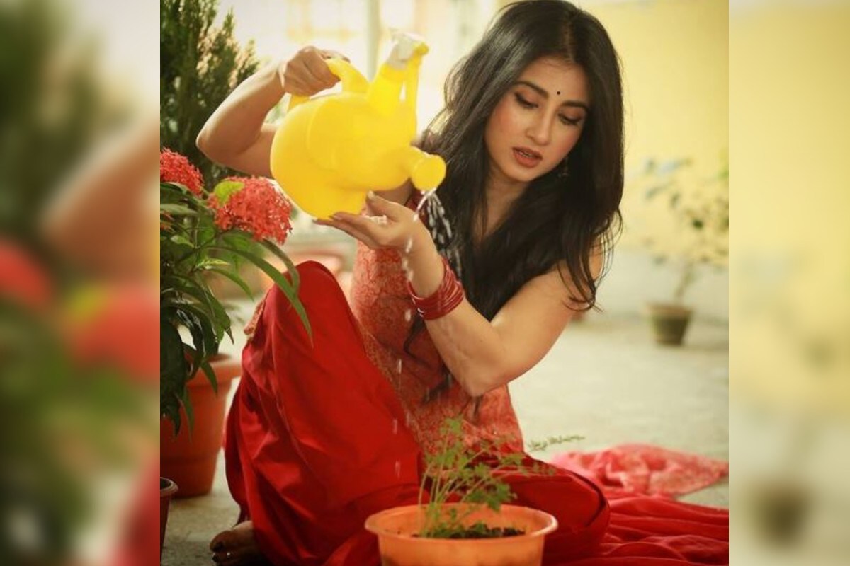 তবে ঘরের যত্ন নিতেও কম যান না অভিনেত্রী। বিভিন্ন ভাবে নিজের ঘর সাজান তিনি। আর তার মধ্যে অন্যতম হল নানা রকমের গাছ লাগানো। নিজে হাতেই সেই গাছেদের যত্ন করেন মনামী। সেসব ছবি সোশ্যাল মিডিয়ায় শেয়ার করেন তিনি। তবে ঘরের যত্ন নিতেও কম যান না অভিনেত্রী। বিভিন্ন ভাবে নিজের ঘর সাজান তিনি। আর তার মধ্যে অন্যতম হল নানা রকমের গাছ লাগানো। নিজে হাতেই সেই গাছেদের যত্ন করেন মনামী। সেসব ছবি সোশ্যাল মিডিয়ায় শেয়ার করেন তিনি।