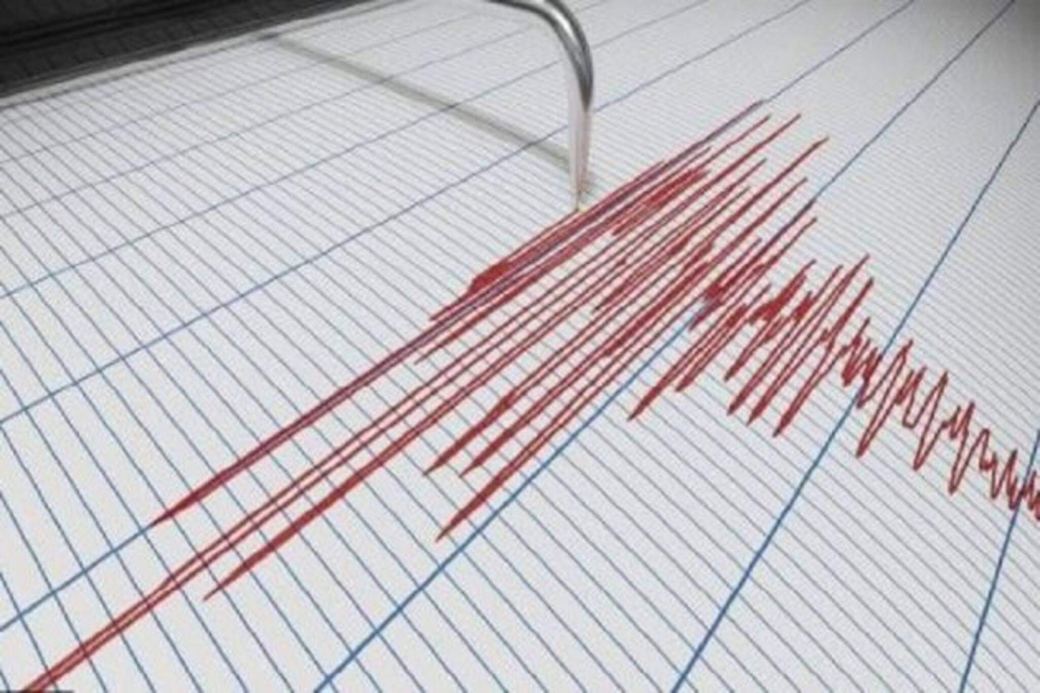 বিধ্বংসী ভূমিকম্পে কেঁপে উঠল চারদিক, কম্পন থামতেই হাহাকার...