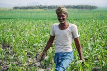 কৃষকদের পাশে থাকার বার্তা রিলায়েন্সের, সংস্থাটির প্রকৃত অবস্থান কী? জানুন