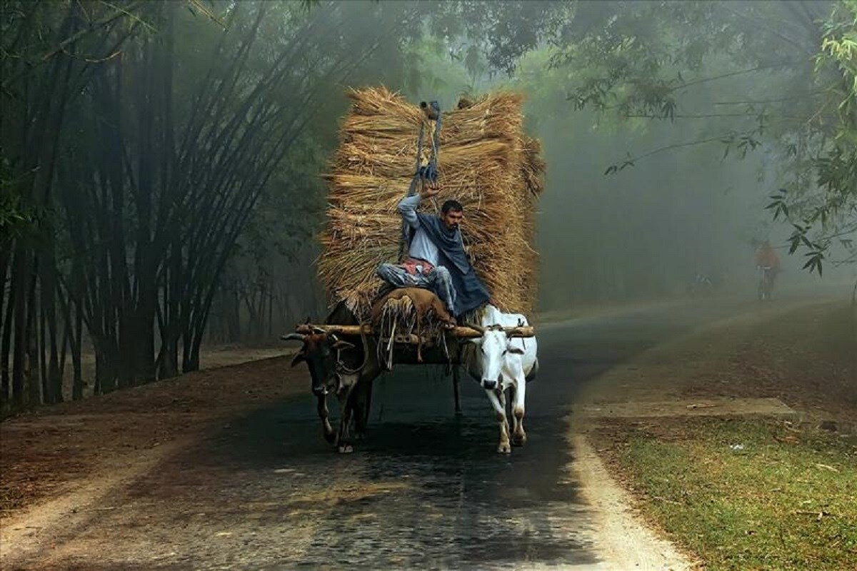 • আগামী ২৪ ঘণ্টায় তাপমাত্রা আরও কিছুটা কমবে।2২৯ জানুয়ারি, শুক্রবার মেঘলা আকাশ থাকবে। সামান্য সম্ভাবনা হলেও দু-এক পশলা বৃষ্টি হতে পারে পুরুলিয়া, বাঁকুড়া, পশ্চিম বর্ধমান, বীরভূমের মত জেলাগুলিতে। প্রতীকী চিত্র । • আগামী ২৪ ঘণ্টায় তাপমাত্রা আরও কিছুটা কমবে।2২৯ জানুয়ারি, শুক্রবার মেঘলা আকাশ থাকবে। সামান্য সম্ভাবনা হলেও দু-এক পশলা বৃষ্টি হতে পারে পুরুলিয়া, বাঁকুড়া, পশ্চিম বর্ধমান, বীরভূমের মত জেলাগুলিতে। প্রতীকী চিত্র ।