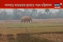 লালগড়ে আমডাঙায় কুয়োতে পড়ল হস্তিশাবক