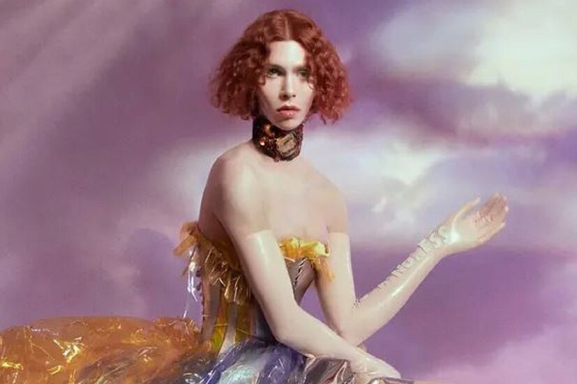 •তাঁর মৃত্যুর পর একটি বিজ্ঞপ্তি প্রকাশ করা হয়, যেখানে জানানো হয় যে এক বীভৎস দুর্ঘটনায় মৃত্য়ু হয়েছে সোফির। তিনি পূর্ণিমার চাঁদ দেখতে এক উঁচু জায়গায় উঠেছিলেন, সেখান থেকে পা পিছলে পড়ে যান। এমনই উল্লেখ করা হয়েছে। 