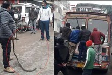 লরিতে ড্রাইভারের পিছনের সিটে বিষধর সাপের ভয়ানক ফোঁসফোসানি, তারপর