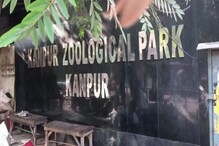 বার্ড ফ্লু’র আতঙ্কে অনির্দিষ্টকালের জন্য বন্ধ হল কানপুর চিড়িয়াখানা বার্ড ফ্লু’র আতঙ্কে অনির্দিষ্টকালের জন্য বন্ধ হল কানপুর চিড়িয়াখানা