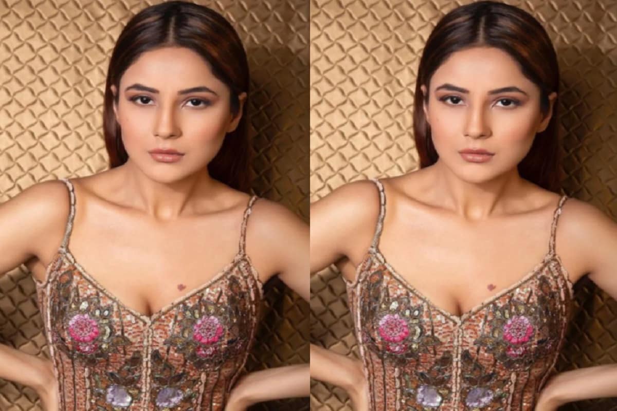 ভবিষ্যতেও তাঁকে সংঘর্ষ করতে হবে ৷ বিয়ের মন করলে করে ফেলব ৷ বিগ বসে অংশগ্রহণের পরে বেশ কিছু নতুন কাজ পেয়েছিলেন শাহনাজ ৷ ছবি সৌজন্যে ইনস্টাগ্রাম ৷ ভবিষ্যতেও তাঁকে সংঘর্ষ করতে হবে ৷ বিয়ের মন করলে করে ফেলব ৷ বিগ বসে অংশগ্রহণের পরে বেশ কিছু নতুন কাজ পেয়েছিলেন শাহনাজ ৷ ছবি সৌজন্যে ইনস্টাগ্রাম ৷