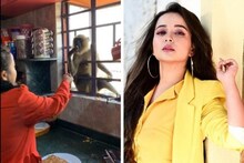 জানলা থেকে নিজের হাতে হনুমান’কে খাওয়ালেন টলি-নায়িকা প্রিয়াঙ্কা! ভাইরাল ভিডিও