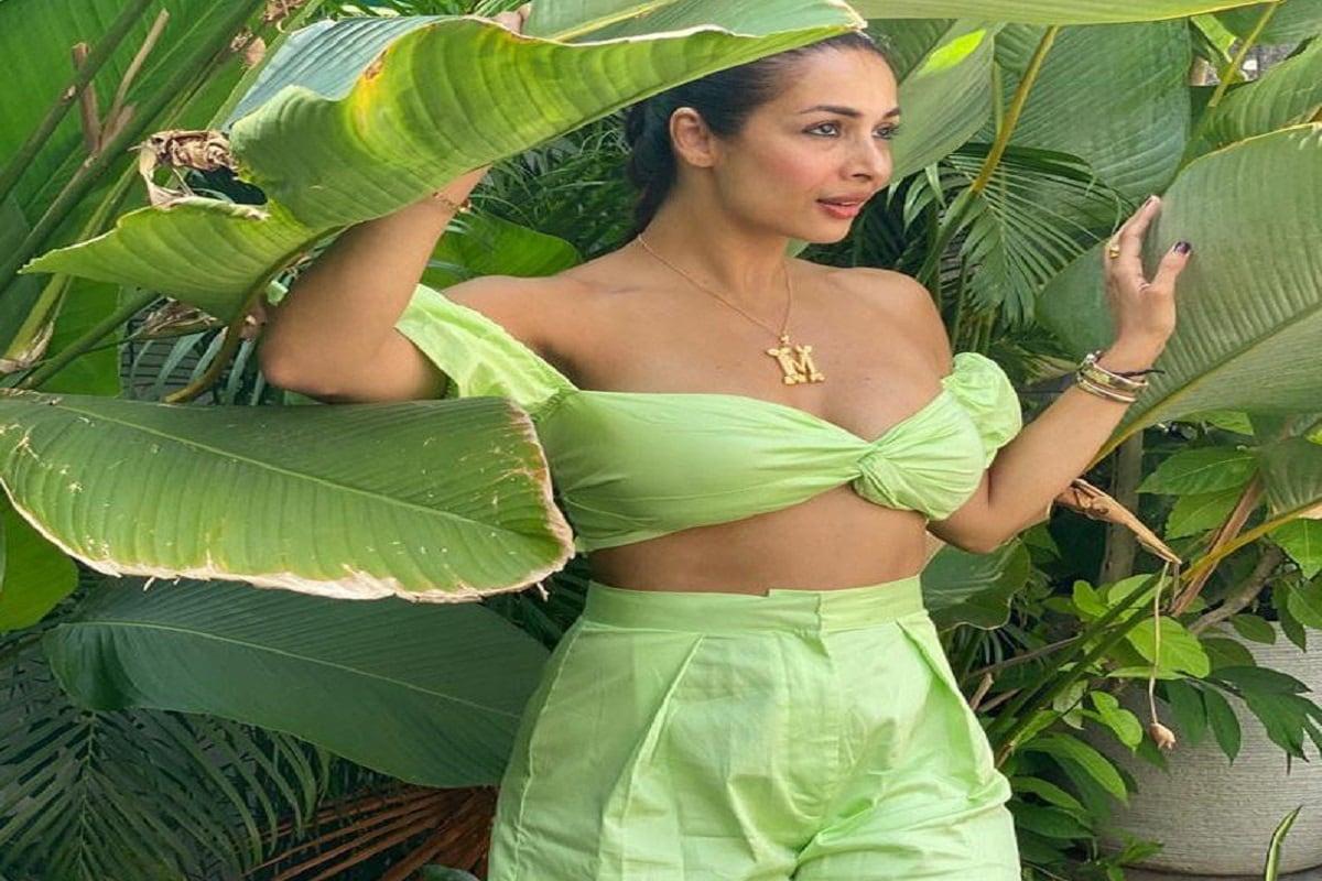 আরও যোগ করলেন মালাইকা, আরও যোগ করলেন মালাইকা,
