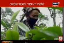 ভোটের বাংলায় 'চায়ে পে তরজা', একুশে ভোটে চা বাগানে কোন ফুল? দেখুন ভিডিও