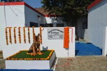 ৪৯ কেস সমাধানের সম্মান, পুলিশকুকুর টিংকির মূর্তি বসল থানায় ৪৯ কেস সমাধানের সম্মান, পুলিশকুকুর টিংকির মূর্তি বসল থানায়