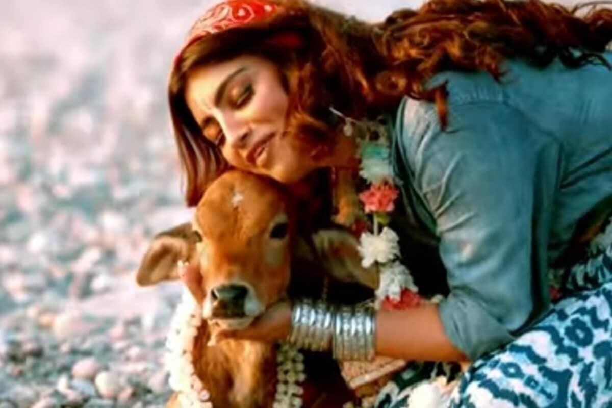 টিভি শো ছাড়াও আকাঙ্খা তামিল, তেলুগু, মালায়ালাম ছবিতে কাজ করেছেন ৷ মধুর ভান্ডারকারের ছবি ক্যালেন্ডার গার্লসের মাধ্যমে কেরিয়ার শুরু করেছেন ৷ টিভি শো ছাড়াও আকাঙ্খা তামিল, তেলুগু, মালায়ালাম ছবিতে কাজ করেছেন ৷ মধুর ভান্ডারকারের ছবি ক্যালেন্ডার গার্লসের মাধ্যমে কেরিয়ার শুরু করেছেন ৷