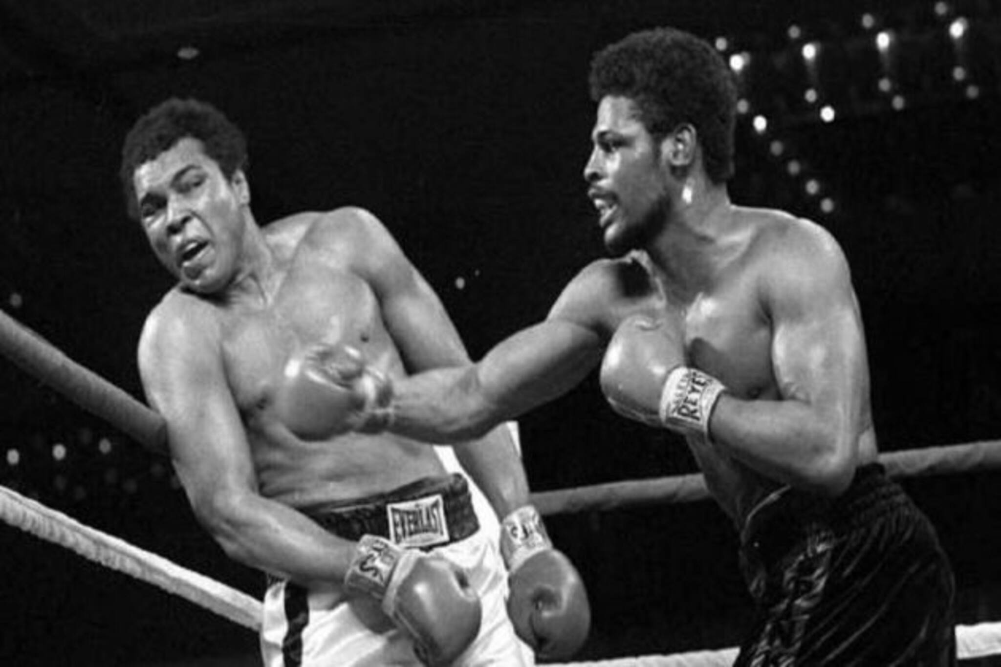 মহম্মদ আলিকে হারিয়েছিলেন, তবে ক্যান্সারকে হারাতে পারলেন না, প্রয়াত স্পিঙ্কস