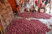 ফের দাম বাড়ল পেঁয়াজের, দেখে নিন কত হল
