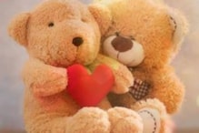 Teddy Day 2021: প্রতিটা রঙের আলাদা মানে, কাকে কোন রঙের টেডি দেওয়া যেতে পারে জেনে নিন Teddy Day 2021: প্রতিটা রঙের আলাদা মানে, কাকে কোন রঙের টেডি দেওয়া যেতে পারে জেনে নিন