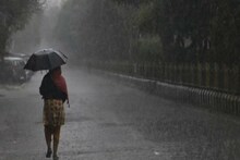 মেঘলা আকাশ, সপ্তাহের মাঝেই ফের বৃষ্টি! আবারও কি শীতের কামড়?