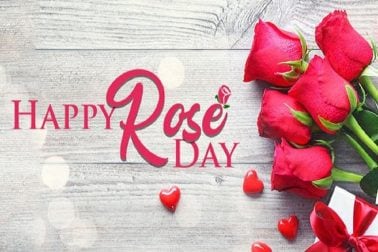 শুরু হয়ে গেল ভ্যালেন্টাইনস উইক। প্রেমের সপ্তাহ। আর প্রেম তো শুরু হয় নিবেদন দিয়ে। তাই ৭ ফেব্রুয়ারি রোজ ডে দিয়েই শুরু হয় ভালোবাসার সপ্তাহ। ভালোবাসার ভাষা বুঝতে ও বোঝাতে পারে গোলাপ। তাই উপহার হিসেবে গোলাপের চাহিদা সবার উপরে। লাল, হলুদ, সাদা, গোলাপি বিভিন্ন রঙের সঙ্গেই বদলে যায় গোলাপের ভাষা, আবেদন। জেনে নিন কোন রঙের গোলাপ কীসের প্রতীক। শুরু হয়ে গেল ভ্যালেন্টাইনস উইক। প্রেমের সপ্তাহ। আর প্রেম তো শুরু হয় নিবেদন দিয়ে। তাই ৭ ফেব্রুয়ারি রোজ ডে দিয়েই শুরু হয় ভালোবাসার সপ্তাহ। ভালোবাসার ভাষা বুঝতে ও বোঝাতে পারে গোলাপ। তাই উপহার হিসেবে গোলাপের চাহিদা সবার উপরে। লাল, হলুদ, সাদা, গোলাপি বিভিন্ন রঙের সঙ্গেই বদলে যায় গোলাপের ভাষা, আবেদন। জেনে নিন কোন রঙের গোলাপ কীসের প্রতীক।