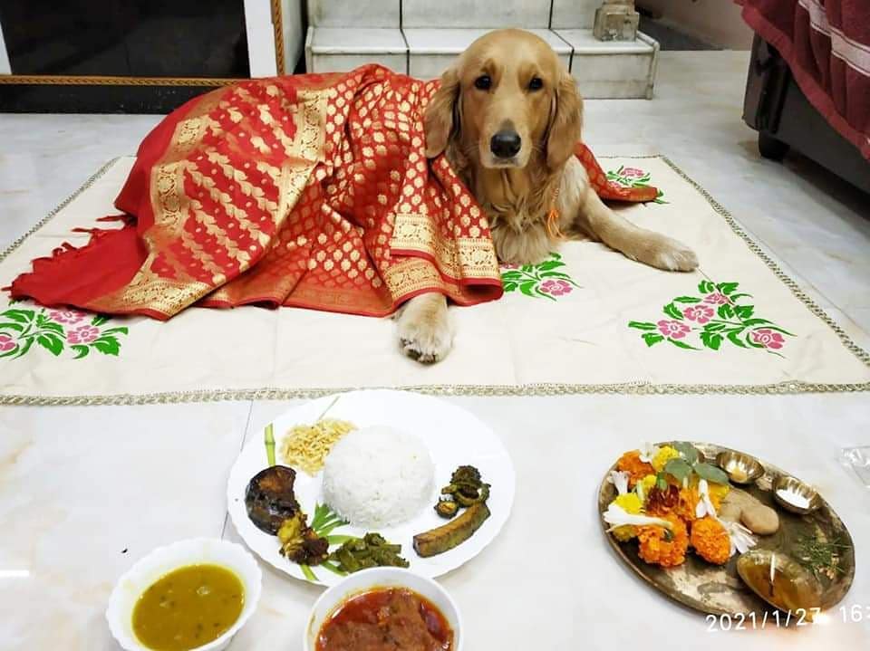 *পঞ্চ ব্যাঞ্জনে সাজানো থালা, পাশেই রাখা ধান, দূর্বা। জ্বালানো রয়েছে প্রদীপ। মেয়েকে লাল বেনারসীতে সাজিয়ে আসনে বসিয়ে চলল আশীর্বাদ পর্ব। ছবি: ইনস্টাগ্রাম। *পঞ্চ ব্যাঞ্জনে সাজানো থালা, পাশেই রাখা ধান, দূর্বা। জ্বালানো রয়েছে প্রদীপ। মেয়েকে লাল বেনারসীতে সাজিয়ে আসনে বসিয়ে চলল আশীর্বাদ পর্ব। ছবি: ইনস্টাগ্রাম।
