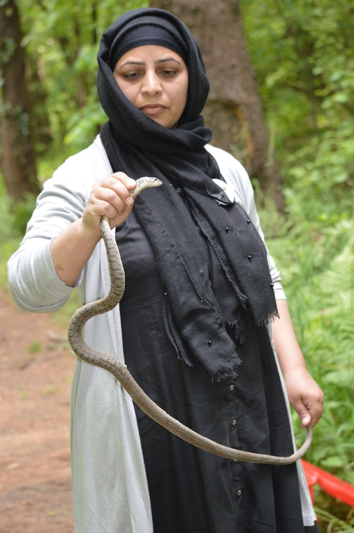 আলিয়া এমন একজন অ্যানিমেল রেসকিউয়ার যিনি সব সময় শিরোনামে থাকেন, তাঁর সাহসের জন্য। (Photo Credit : Parvez Butt, News18 Urdu Srinagar) আলিয়া এমন একজন অ্যানিমেল রেসকিউয়ার যিনি সব সময় শিরোনামে থাকেন, তাঁর সাহসের জন্য। (Photo Credit : Parvez Butt, News18 Urdu Srinagar)