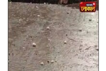 মুরারইয়ে হঠাৎ শিলাবৃষ্টি, আম থেকে গম চাষিদের মাথায় হাত