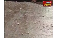 মুরারইয়ে হঠাৎ শিলাবৃষ্টি, আম থেকে গম চাষিদের মাথায় হাত