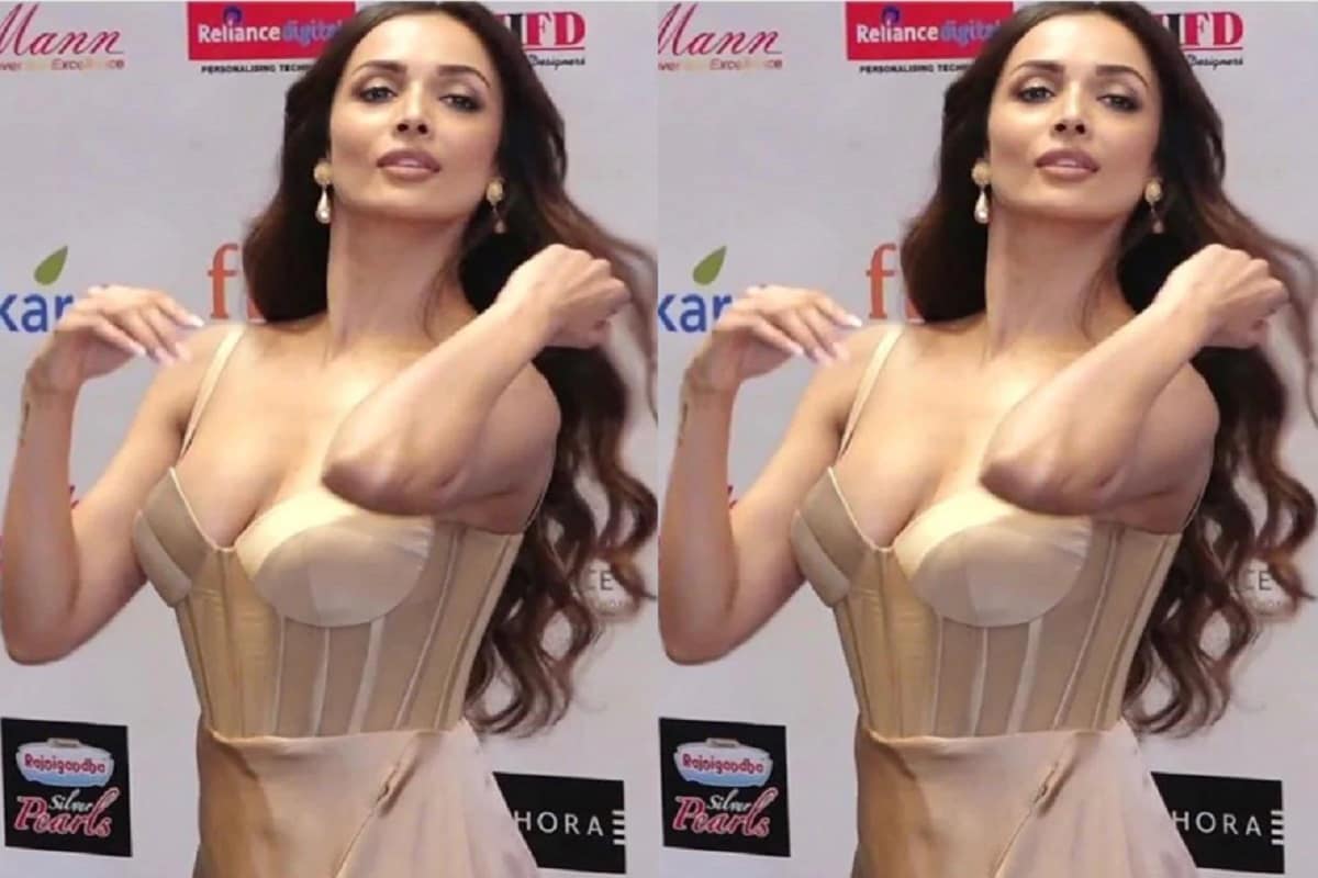 চাপ পোশাকে সবার নজর কেড়েছেন মালাইকা আরোরা সেই ছবিই বারেবারে ভাইরাল হয়েছে সোশ্যাল মিডিয়ায় ৷ ছবি সৌজন্যে ইনস্টাগ্রাম ৷ চাপ পোশাকে সবার নজর কেড়েছেন মালাইকা আরোরা সেই ছবিই বারেবারে ভাইরাল হয়েছে সোশ্যাল মিডিয়ায় ৷ ছবি সৌজন্যে ইনস্টাগ্রাম ৷