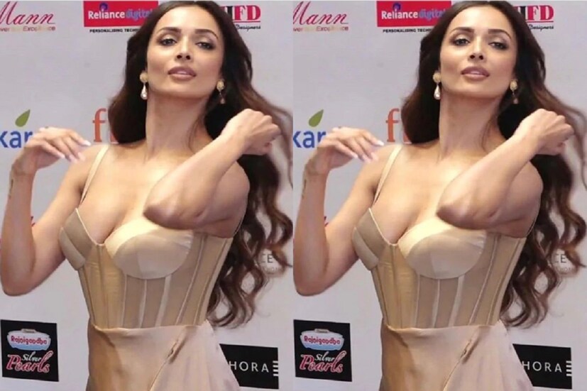 চাপ পোশাকে সবার নজর কেড়েছেন মালাইকা আরোরা সেই ছবিই বারেবারে ভাইরাল হয়েছে সোশ্যাল মিডিয়ায় ৷ ছবি সৌজন্যে ইনস্টাগ্রাম ৷
