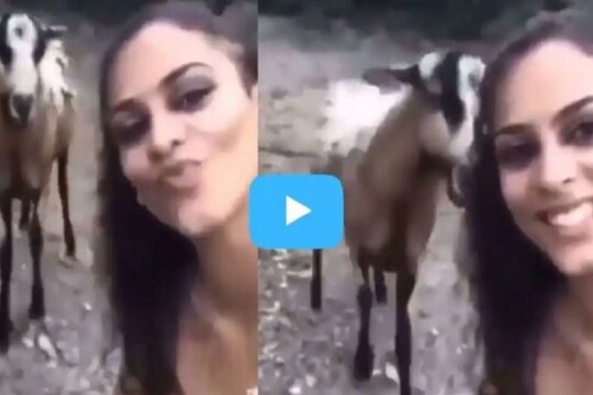 ভাইরাল ভিডিও দেখুন