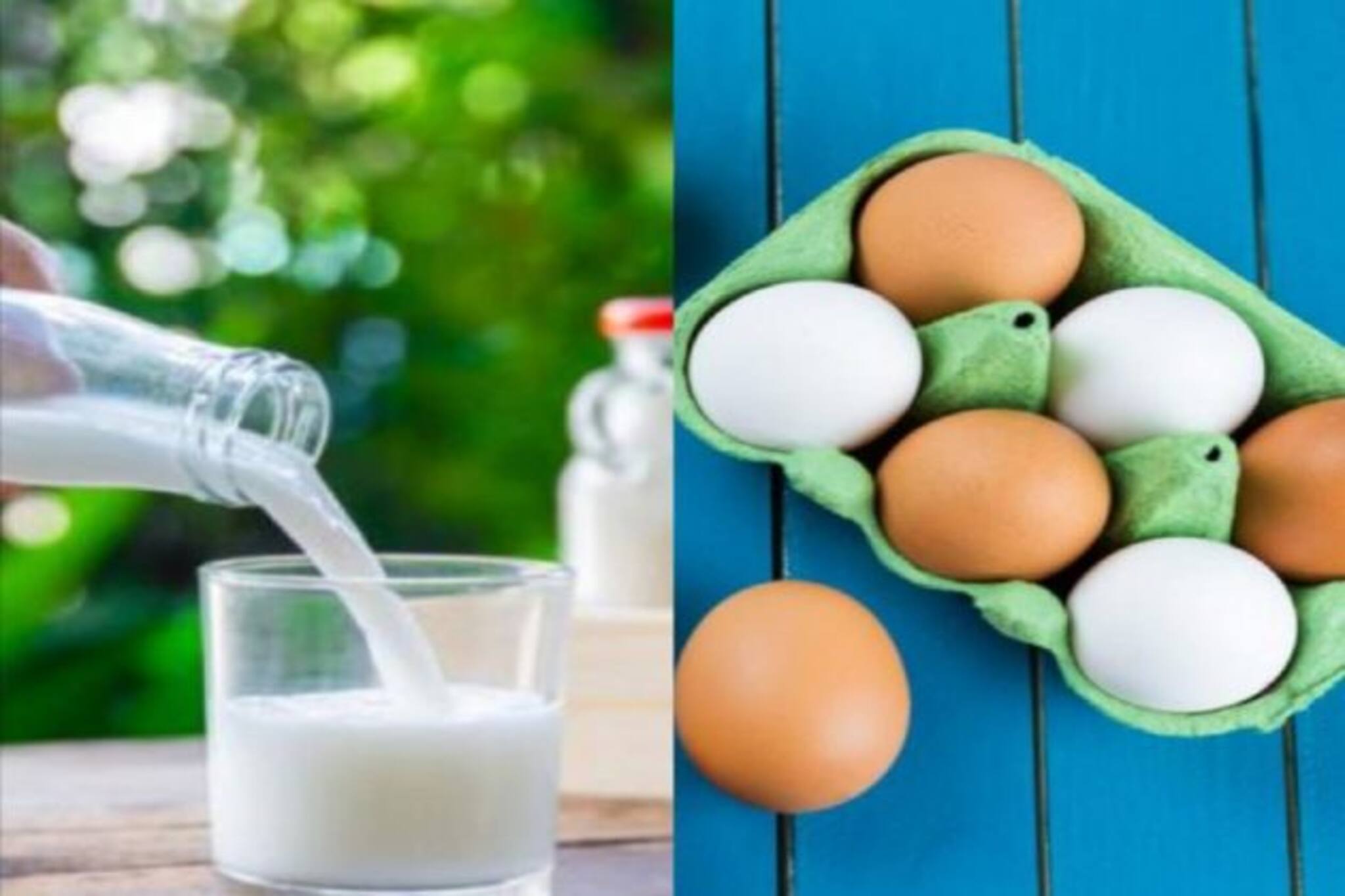 তৈরি থাকুন পকেটে আরও পড়বে চাপ, সামনে দাম বাড়তে চলেছে দুধ ও ডিমের!