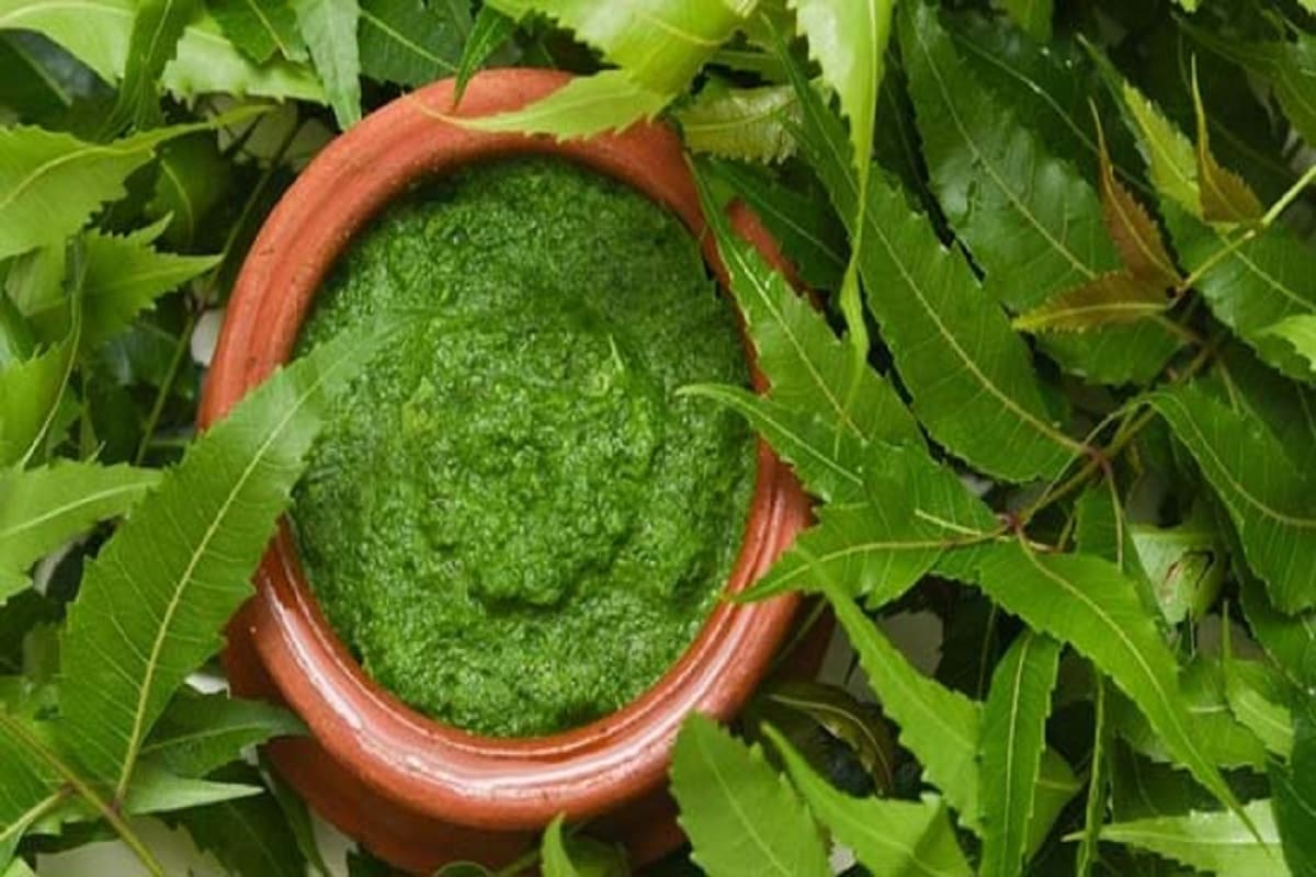 নিমপাতার ওষধিগুণ বলে শেষ করা যায় না! এই পাতা রোজ খেতে পারলে বহু জটিল কঠিন রোগ ধারেকাছে ঘেঁষবে না! সব থেকে ভাল কাজ দেয় যদি সকালে খালি পেটে কয়েকটা পাতা নিয়ে, ভাল করে ধুয়ে চিবিয়ে খেয়ে নেওয়া যায়। এছাড়া গরম আঁচে তেল ছাড়া সেঁকে নিয়ে ভাতের সঙ্গেও খেতে পারেন। নিম গাছের ডাল, পাতা— সবই কাজে লাগে। যেমন, নিমের কাঠ খুব শক্ত। নিম কাঠে উইপোকা বাসা বাঁধে না। ফলে কখনও ঘুণ ধরে না। নিমপাতার ওষধিগুণ বলে শেষ করা যায় না! এই পাতা রোজ খেতে পারলে বহু জটিল কঠিন রোগ ধারেকাছে ঘেঁষবে না! সব থেকে ভাল কাজ দেয় যদি সকালে খালি পেটে কয়েকটা পাতা নিয়ে, ভাল করে ধুয়ে চিবিয়ে খেয়ে নেওয়া যায়। এছাড়া গরম আঁচে তেল ছাড়া সেঁকে নিয়ে ভাতের সঙ্গেও খেতে পারেন। নিম গাছের ডাল, পাতা— সবই কাজে লাগে। যেমন, নিমের কাঠ খুব শক্ত। নিম কাঠে উইপোকা বাসা বাঁধে না। ফলে কখনও ঘুণ ধরে না।