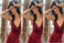 হাতাকাটা সোনালি রঙের চকচকে ব্লাউজে সোশ্যাল মিডিয়া কাঁপিলেন মল্লিকা শেরাওয়াত