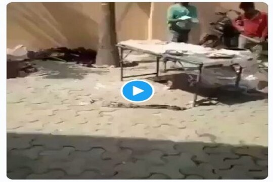 Photo Courtesy- Twitter/Video Grab