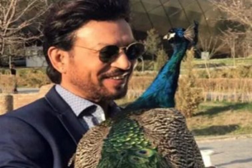 ৯) দেশের গণ্ডি ছাড়িয়ে বিদেশেও সমাদৃত হয়েছিল ইরফানের কাজ।