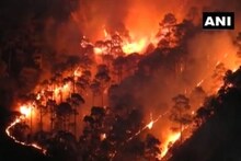 উত্তরাখণ্ডের বিস্তীর্ণ বনাঞ্চলের দাবানলে মৃত ১১! জরুরি বৈঠকে মুখ্যমন্ত্রী