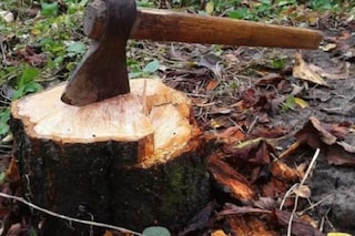 প্রতীকী চিত্র । 