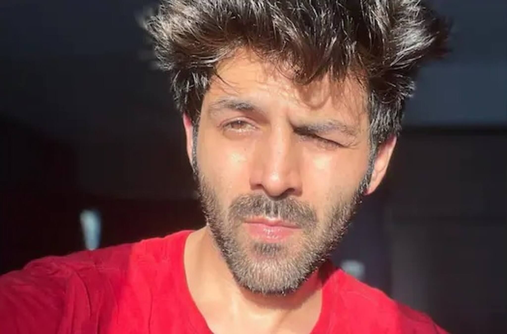 বলিউডে কান পাতা দায়! দোস্তানা ২ থেকে কার্তিক আরিয়ানকে সরিয়ে দিল করণ জোহরের প্রোডাকশন